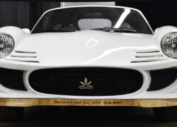 Hemp Car